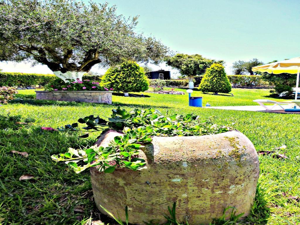 Sunlight Studios Theológos Exterior foto