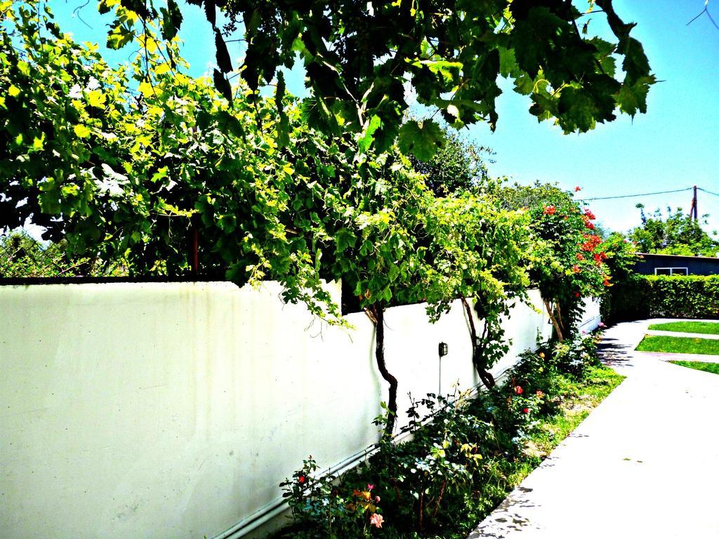 Sunlight Studios Theológos Exterior foto